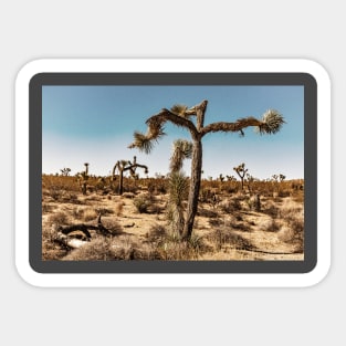 Joshua Tree National Park, California Sticker